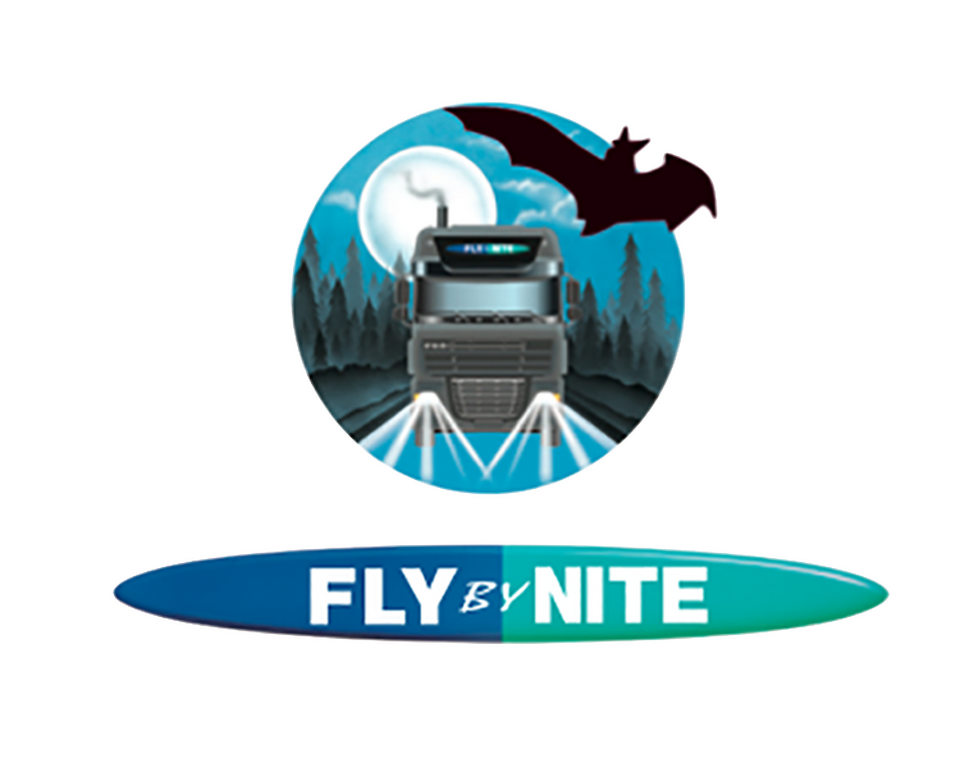 Fly by nite logo 1 1